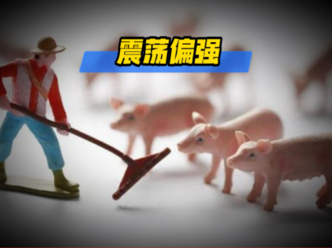 01月24日猪价：看涨预期增强！