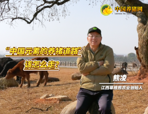 专访草根熊创始人 熊凌——南方林下空间的巨大潜力！