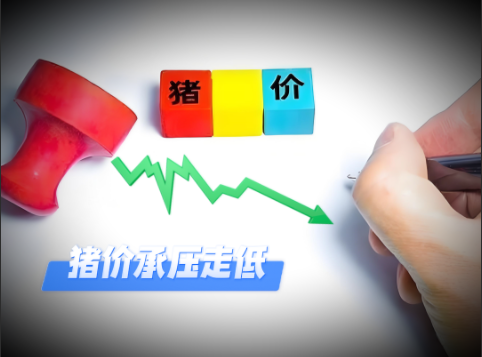 01月28日猪价：下跌“拉不住”！猪价承压走低！