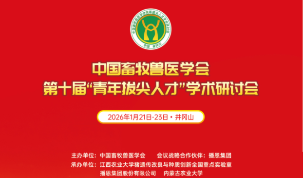 十年独家赋能 铸就行业标杆——播恩集团助力青年拔尖人才研讨会薪火相传！