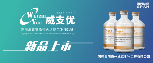 扛住MS！国药动保扬州威克“威支优”获批上市