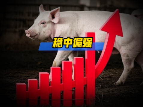 02月03日猪价：大面积回温！