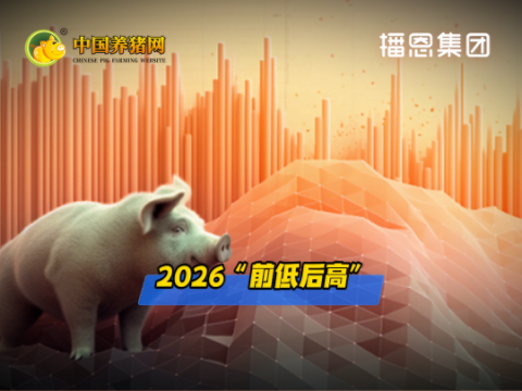 02月25日猪价：多地大跌！呈现“供强需弱”格局！