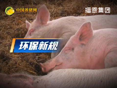 所有养殖同仁！高度重视！3月1日起，养猪场迎来环保“生死战”！