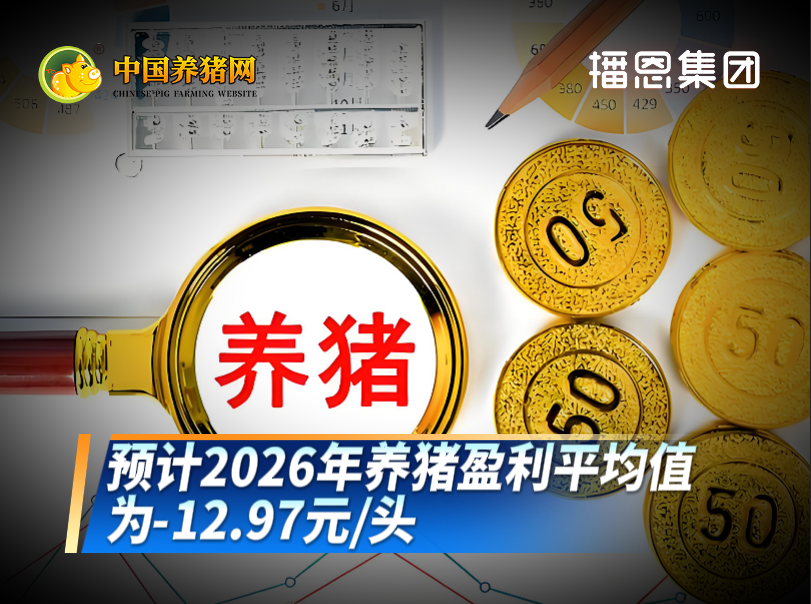 养猪利润全面缩水！预计2026年养猪盈利平均值为-12.97元/头！
