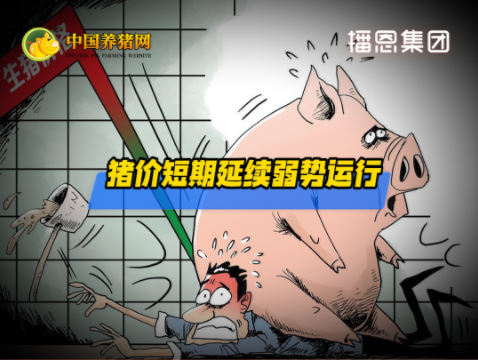 03月03日猪价：下跌“拉不住” 什么原因？