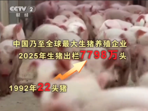 从22头小猪到全球巨头!秦英林只总结了8个字-坚持创新 做好主业!