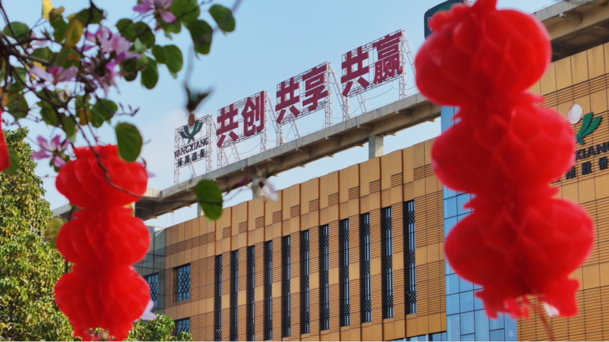 【文末有礼】养猪人集合！元宵吃饺子还是汤圆，投票见分晓！