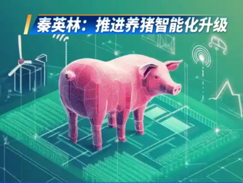 全国人大代表、牧原集团董事长秦英林：推进养猪智能化升级！