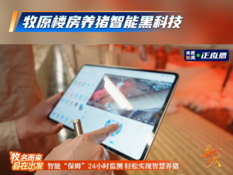 科技降本、智能提质！牧原重新定义现代化养猪！