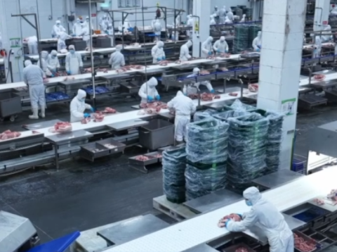 牧原猪肉全程溯源+严苛检疫！高标准保障舌尖上的安全！