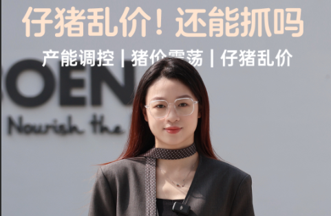 仔猪乱价!还能抓吗?抄底良机还是陷阱?