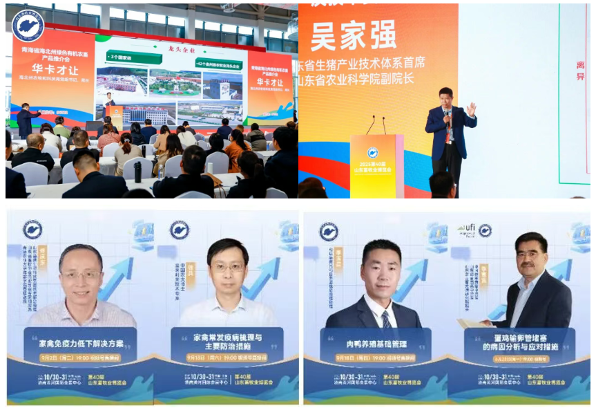 官宣定档 | 深耕实效服务，助力企业高质量增长