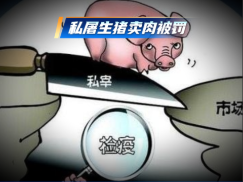 云南一村民在家宰猪到村口售卖被罚！罚款5000元，342.8斤猪肉被没收！
