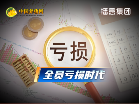 猪价探底 多地跌入4元区！仔猪育肥头均亏损约415.15元！