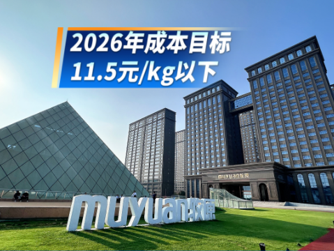 牧原首席财务官:完全做好度过低谷期准备!2026年成本目标为11.5元/kg以下!