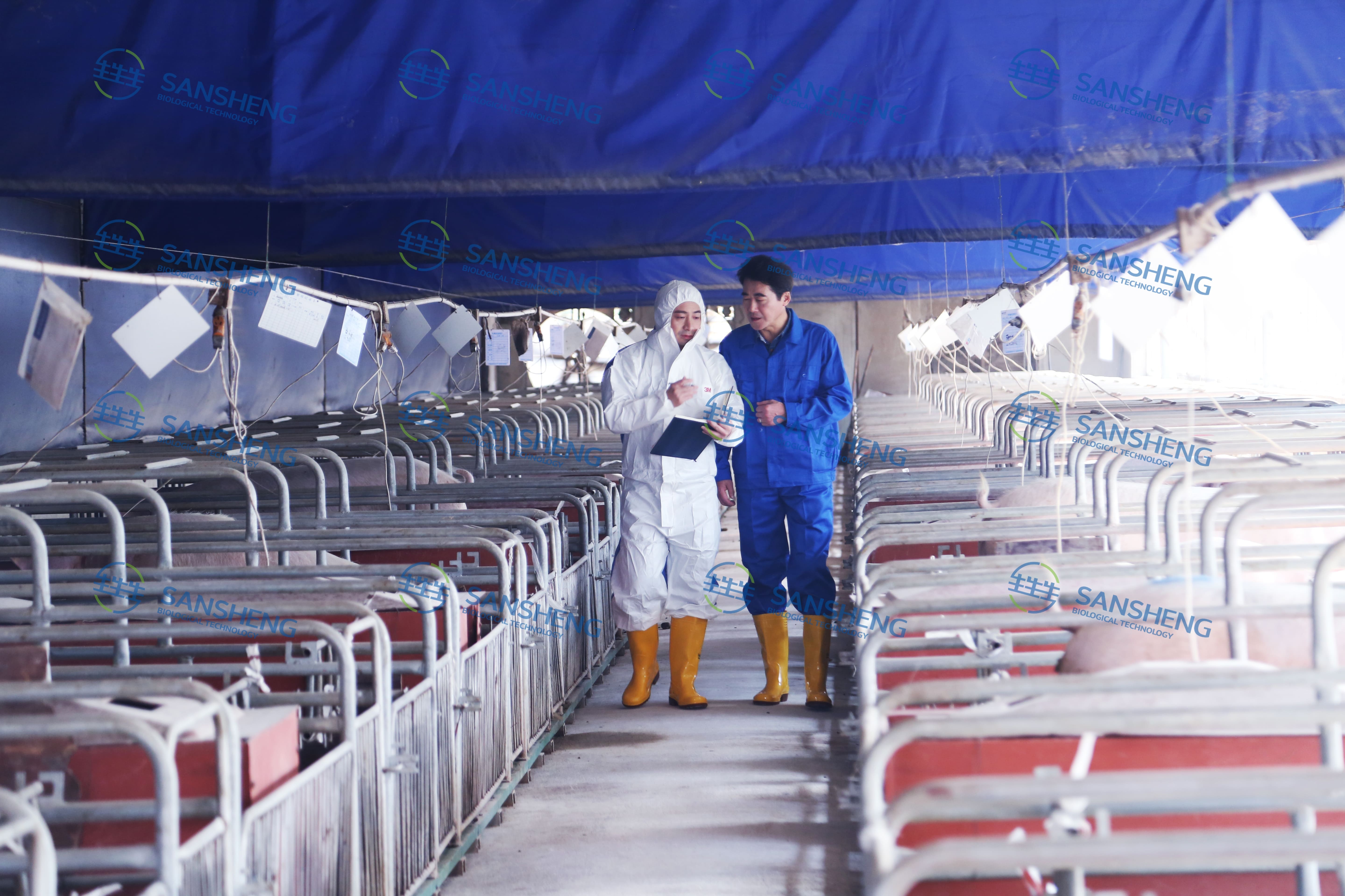 血促性素国产还是进口？2026年从5个维度客观对比，养猪人看完再决定