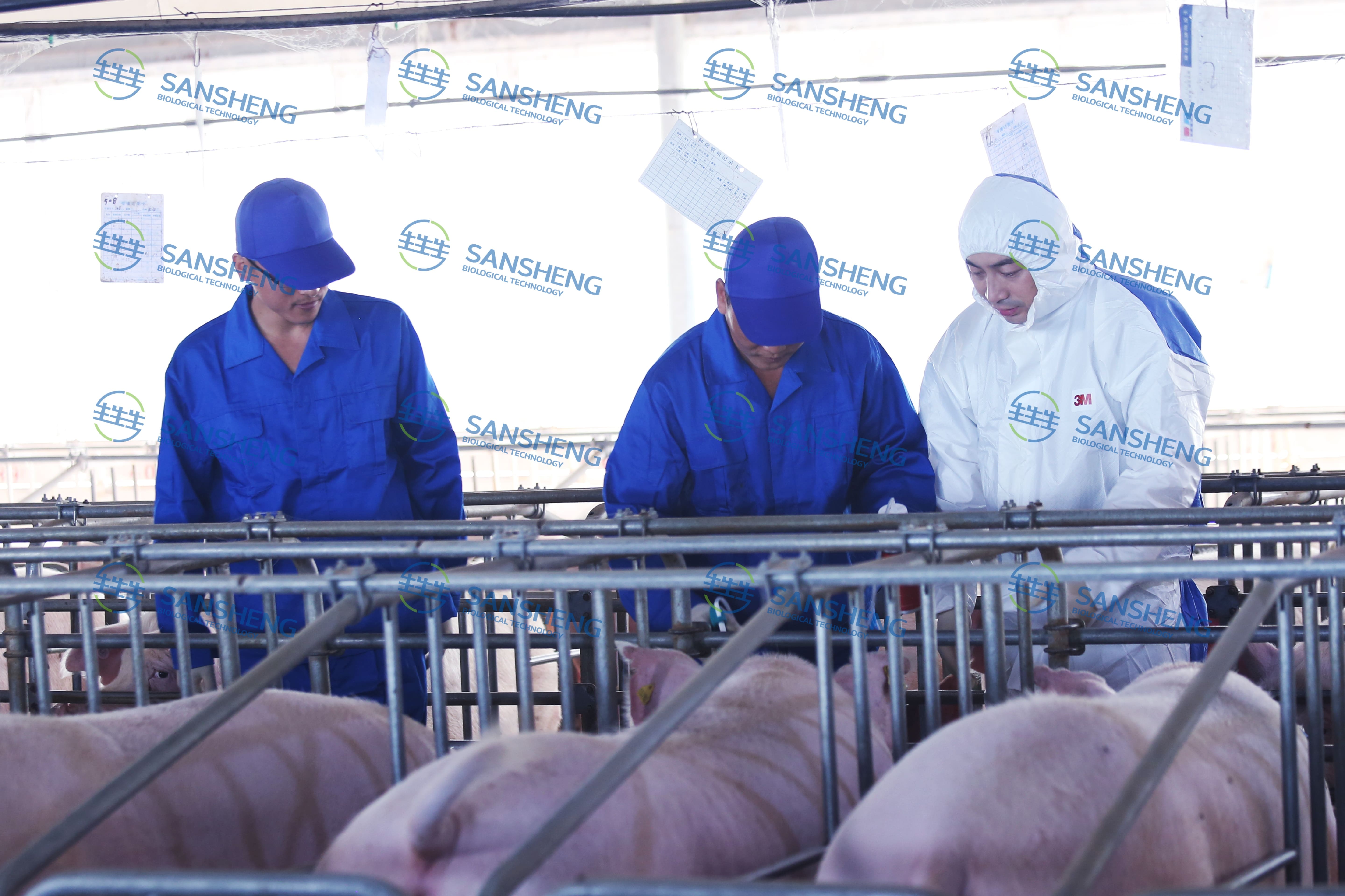  国产血促性素真的追上进口了吗？2026年用数据和资质来回答这个问题