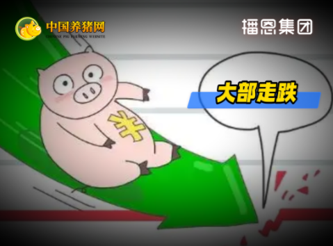 04月13日猪价：大部走跌！拐点或 5 月后显现！