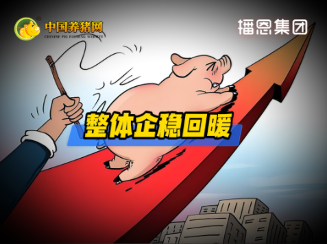 04月16日猪价：微涨！反转需等待产能去化进度！