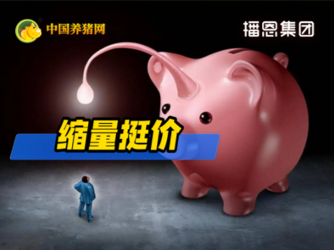 04月15日猪价:触底信号?历史低位震荡!