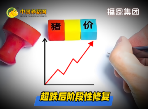04月17日猪价：再迎上涨！“绝地反击”？