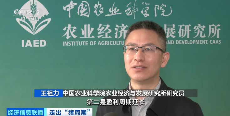 全国能繁母猪存栏量连续下降 生猪供求关系逐步改善