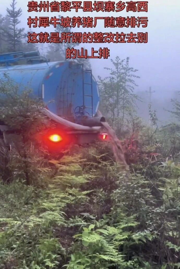 贵州黎平养猪场排污风波：网传 “偷排” 实为还田施肥？真相与争议全梳理
