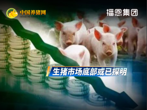 猪价低位反弹、产能持续调减！但周期上涨难一蹴而就！