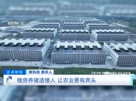 告别传统养殖模式 全面升级到智能公寓！养猪变身高科技行业！