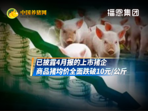 05月11日猪价：9元时代持久战！“底”在何方？