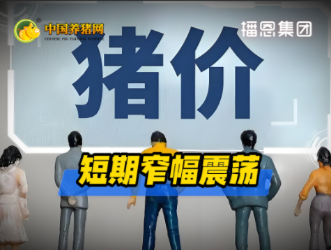 一级预警已触发!猪价的“底”在哪里?