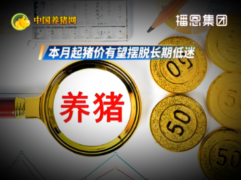 能繁母猪存栏量连续9个月下降！本月起猪价有望摆脱长期低迷！