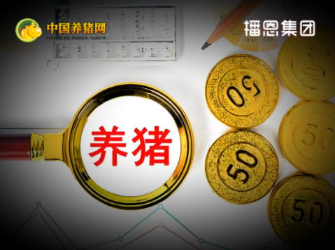 猪价低于蛋价，一头猪亏 300+！仔猪价格反倒逆势上涨！