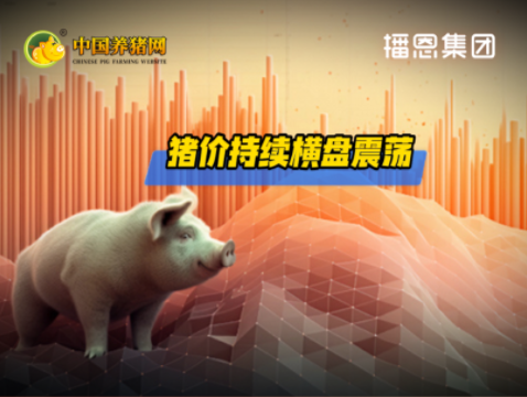 猪价涨不动、跌不深!陷入“极限拉锯”!
