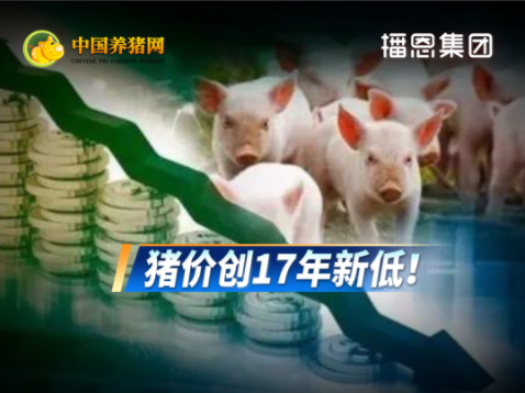 专家预测:“地板价”的猪价不会再现,但拐点也不会来!