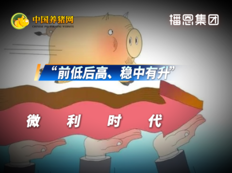 养猪产业两极分化持续加剧！“暴涨暴富”时代一去不复返！