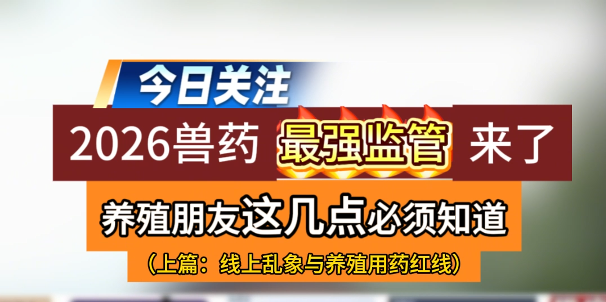 2026兽药最强监管来了！为期7个月的兽药大整治！养殖户两条红线不能碰！