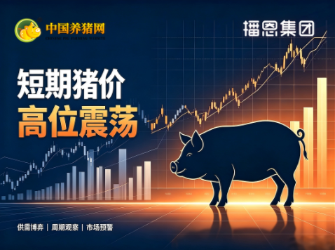 07月06日猪价：11.06元/公斤！全线飘红！