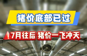 猪价底部已过！7月往后猪价一飞冲天？