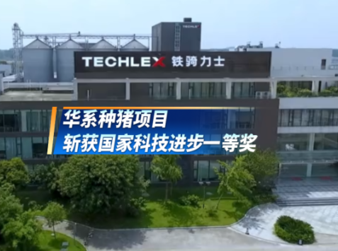 华系种猪项目斩获国家科技进步一等奖!助力华系种猪自主崛起 铁骑力士力量不可或缺!