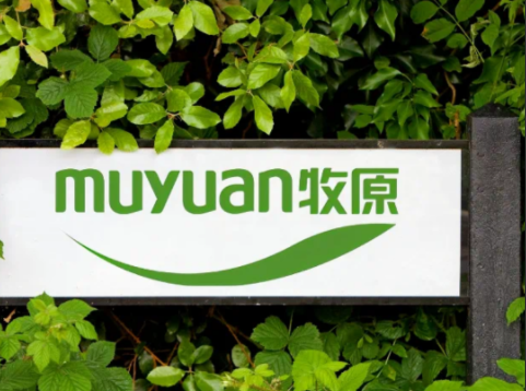 牧原屠宰肉食业务持续盈利!资产负债率已降至2021年中报以来的最低水平!