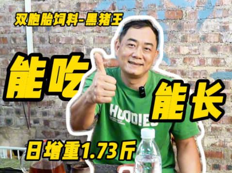 黑猪专用配合饲料——双胞胎饲料黑猪王!能吃能长、日增重1.73斤!