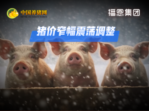 07月22日猪价:10.84元/公斤!涨跌两难!