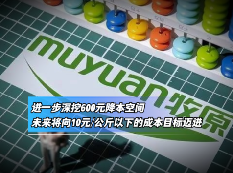 牧原养猪成本五年累计下降4.4元/公斤左右!进一步深挖600元降本空间!未来将向10元/公斤以下的成本目标迈进!