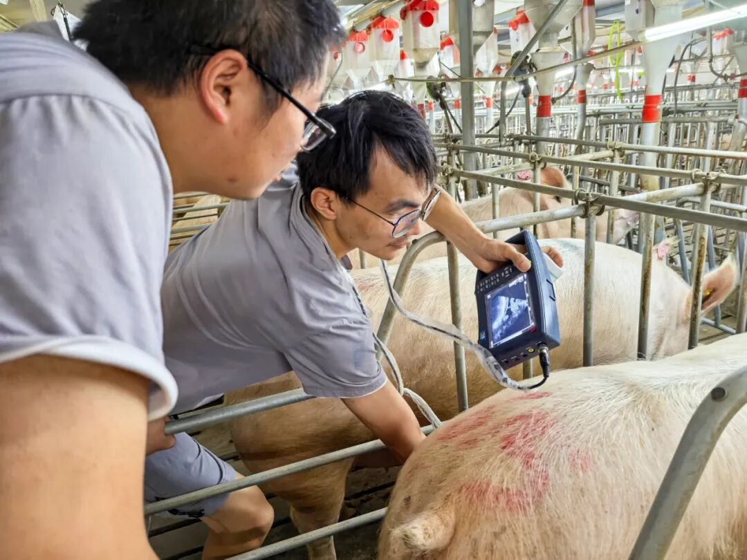 德康师徒｜撑伞的人
