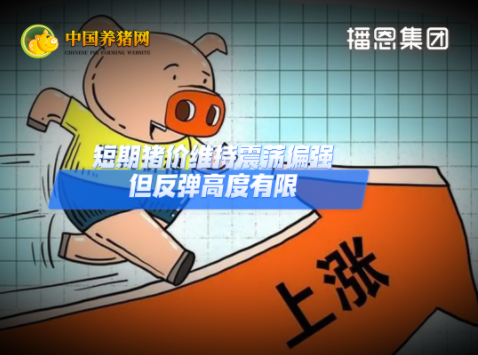 09月05日猪价:小幅回温!预计短期猪价震荡偏强!