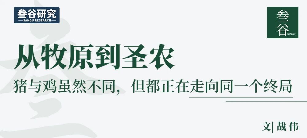 叁谷研究：从牧原到圣农——猪与鸡虽然不同，但都正在走向同一个终局