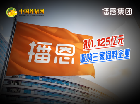 拓展北方市场，切入反刍赛道！播恩集团拟1.125亿元收购三家饲料企业！