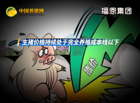 养猪亏损周期长达到一年之久!生猪产能去化周期或接近尾声!